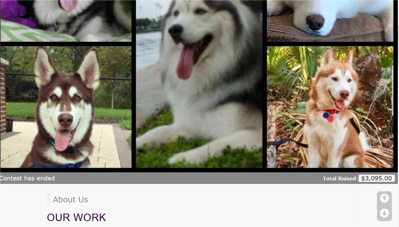 screenshot of Make My Contest